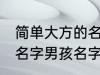 简单大方的名字男孩名字 简单大方的名字男孩名字推荐