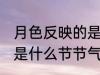 月色反映的是哪个节节气 月色反映的是什么节节气