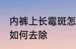 内裤上长霉斑怎么去除 内裤上长霉斑如何去除