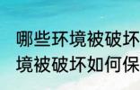 哪些环境被破坏怎样保护环境 哪些环境被破坏如何保护环境