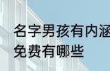 名字男孩有内涵免费 名字男孩有内涵免费有哪些