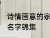 诗情画意的家族名字 诗情画意的家族名字锦集