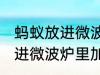 蚂蚁放进微波炉里加热会死吗 蚂蚁放进微波炉里加热会不会死