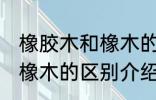 橡胶木和橡木的区别是什么 橡胶木和橡木的区别介绍