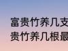 富贵竹养几支最旺运属蛇的 属蛇养富贵竹养几根最招财