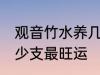 观音竹水养几支最旺运 观音竹水养多少支最旺运