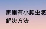 家里有小爬虫怎么办 家里有小爬虫的解决方法