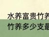 水养富贵竹养几支最旺运财 水养富贵竹养多少支最旺运财