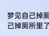 梦见自己掉厕所里了怎么回事 梦见自己掉厕所里了预兆什么