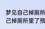 梦见自己掉厕所里了怎么回事 梦见自己掉厕所里了预兆什么