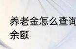 养老金怎么查询余额 养老金如何查询余额