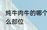 炖牛肉牛的哪个部位 炖牛肉牛选择什么部位