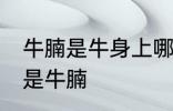 牛腩是牛身上哪里的肉 什么位置的肉是牛腩