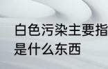 白色污染主要指的是什么 白色污染的是什么东西