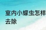 室内小蠓虫怎样去除 室内小蠓虫如何去除