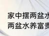 家中摆两盆水养富贵竹好不好 家中摆两盆水养富贵竹可以吗