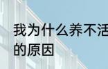 我为什么养不活杜鹃花 养不活杜鹃花的原因