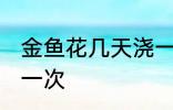 金鱼花几天浇一次水 金鱼花多久浇水一次