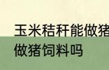 玉米秸秆能做猪饲料吗 玉米秸秆可以做猪饲料吗