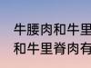 牛腰肉和牛里脊肉有什么不同 牛腰肉和牛里脊肉有何不同