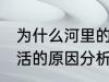 为什么河里的鱼养不活 河里的鱼养不活的原因分析