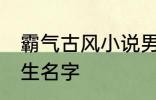 霸气古风小说男主名字 古风儒雅的男生名字