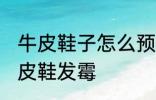 牛皮鞋子怎么预防发霉 如何预防真皮皮鞋发霉