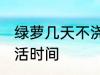 绿萝几天不浇水会死 不浇水的绿萝成活时间