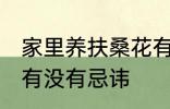 家里养扶桑花有忌讳吗 家里养扶桑花有没有忌讳