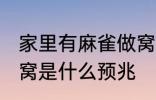 家里有麻雀做窝好不好 家里有麻雀做窝是什么预兆