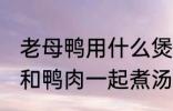 老母鸭用什么煲汤最好 哪些食物可以和鸭肉一起煮汤