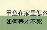 甲鱼在家里怎么养才不死 甲鱼在家里如何养才不死